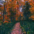 My Way