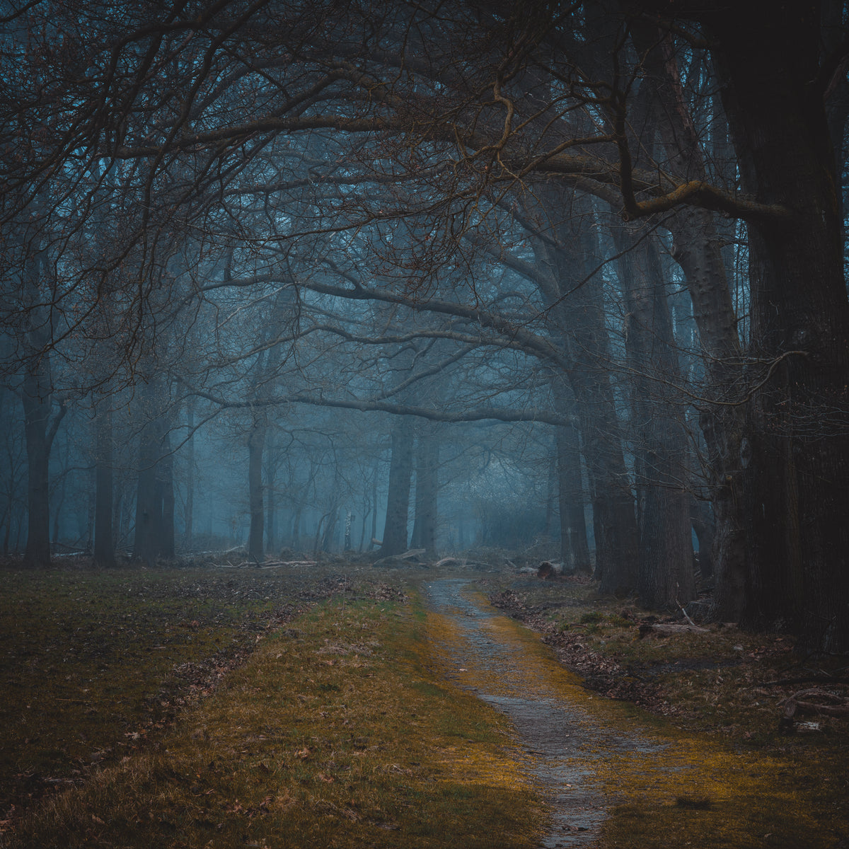 Morning Silence